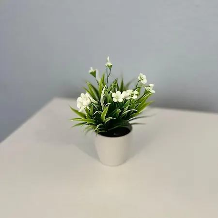 Apartment Apparemment *