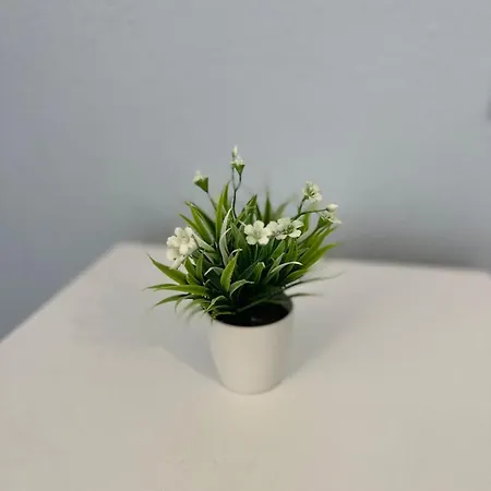 Apartment Apparemment